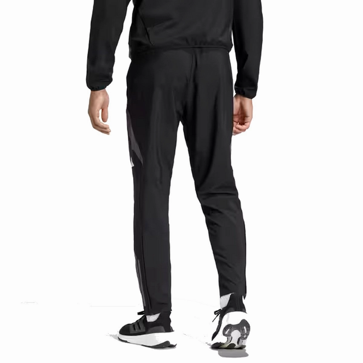 Non-toxic Algeria training presentation Soccer tracksuit 2024/25 - Adidas