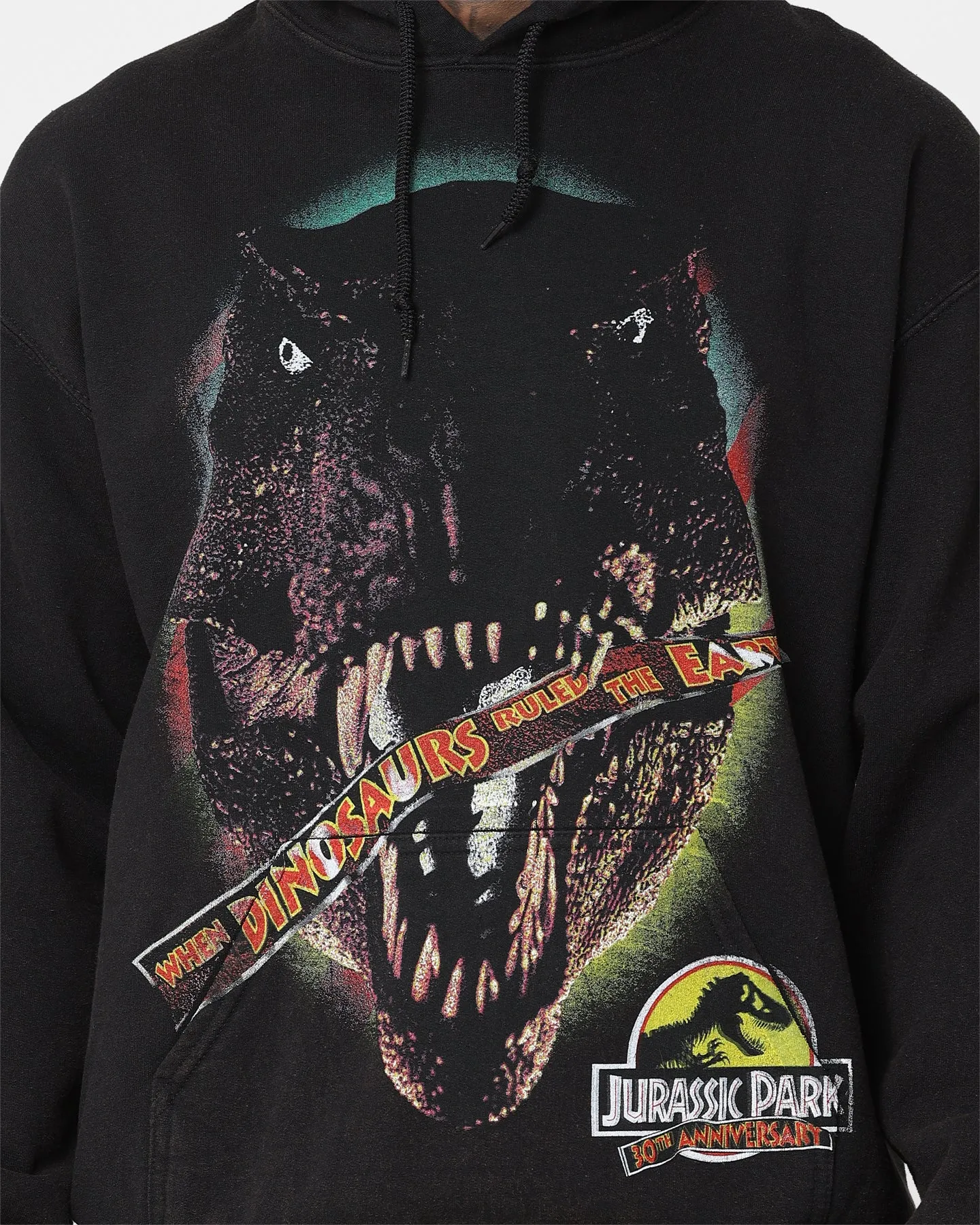 Waterproof Outerwear American Thrift X Jurassic Park 30th Anniversary Hoodie Black Wash