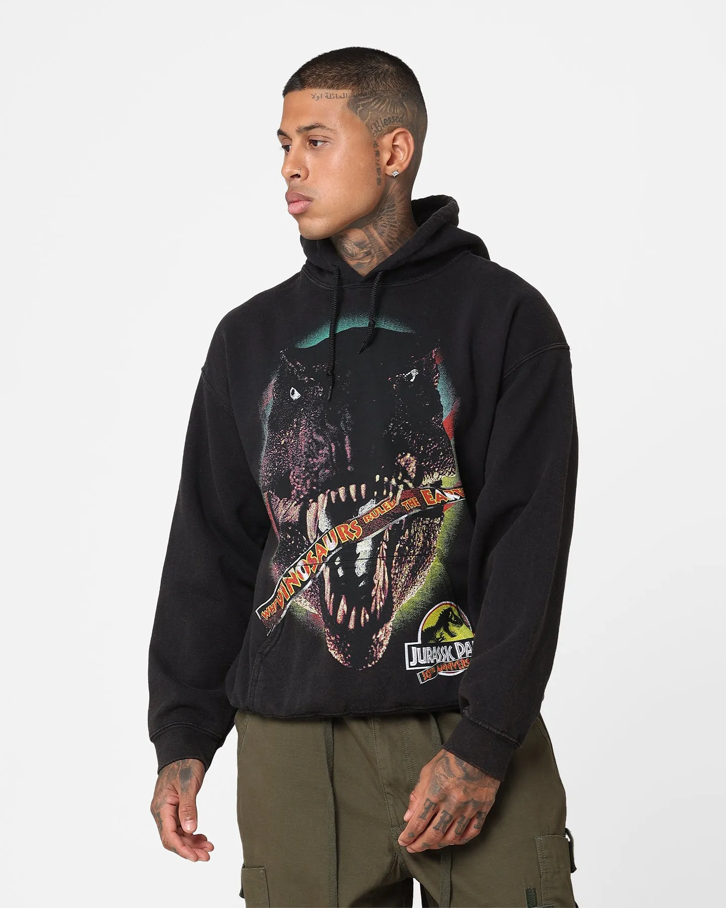 American Thrift X Jurassic Park 30th Anniversary Hoodie Black Wash Agree