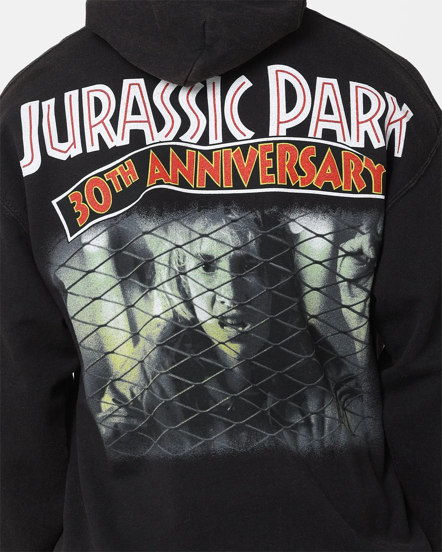 American Thrift X Jurassic Park 30th Anniversary Hoodie Black Wash Show Engineer