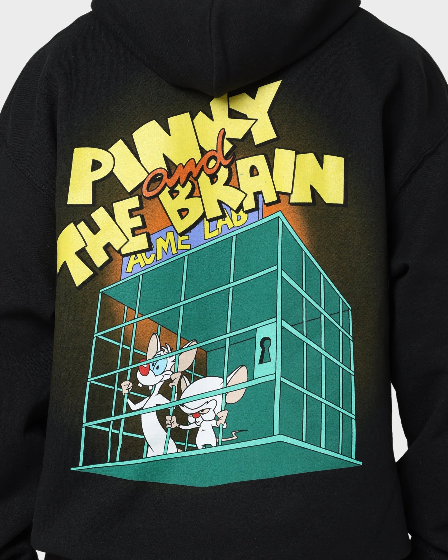 Durable Outer Layer Eco friendly materials American Thrift X Pinky And The Brain Pinky And The Brain Vintage Hoodie Black Wash