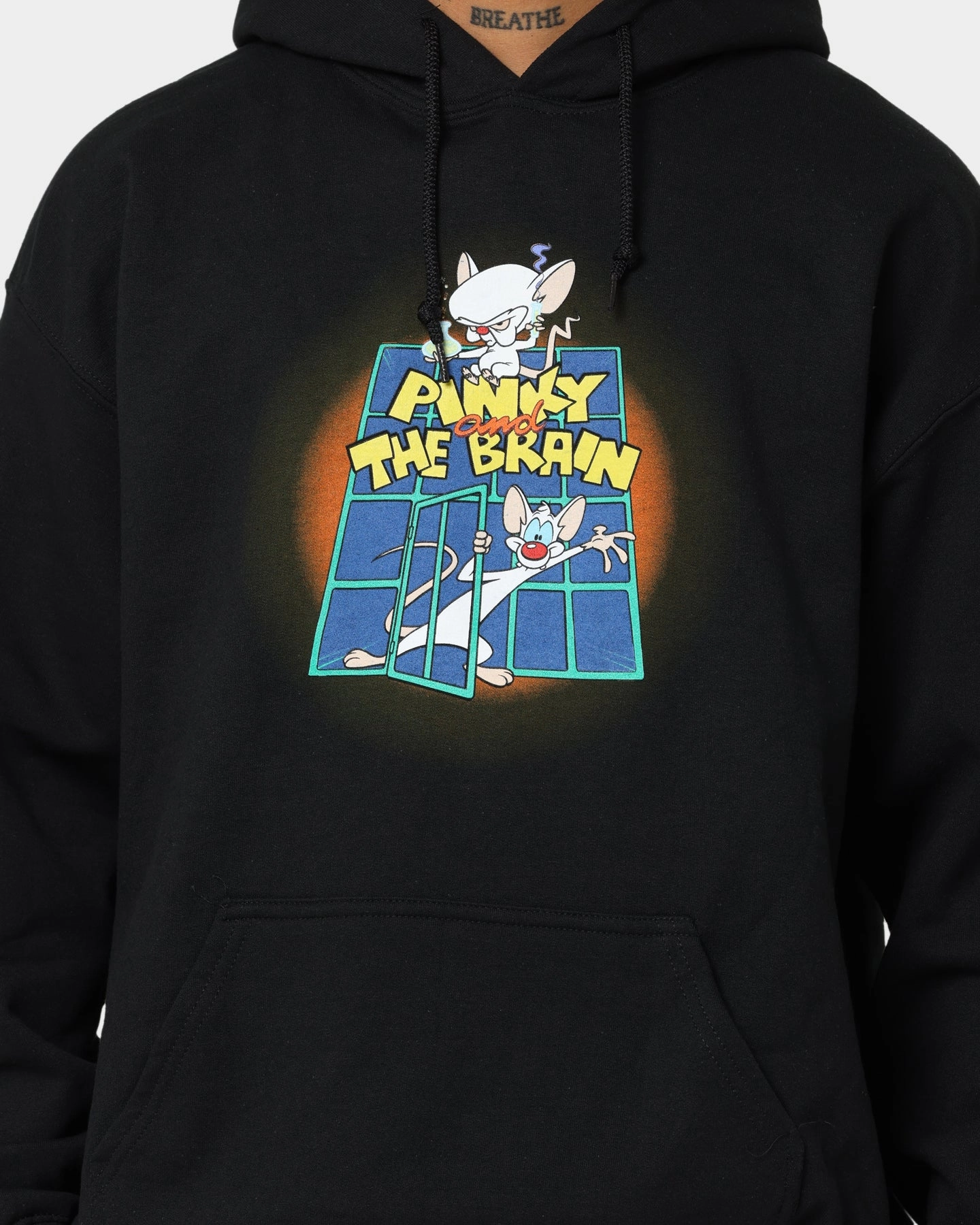 Regular-fit Protective Layering American Thrift X Pinky And The Brain Pinky And The Brain Vintage Hoodie Black Wash