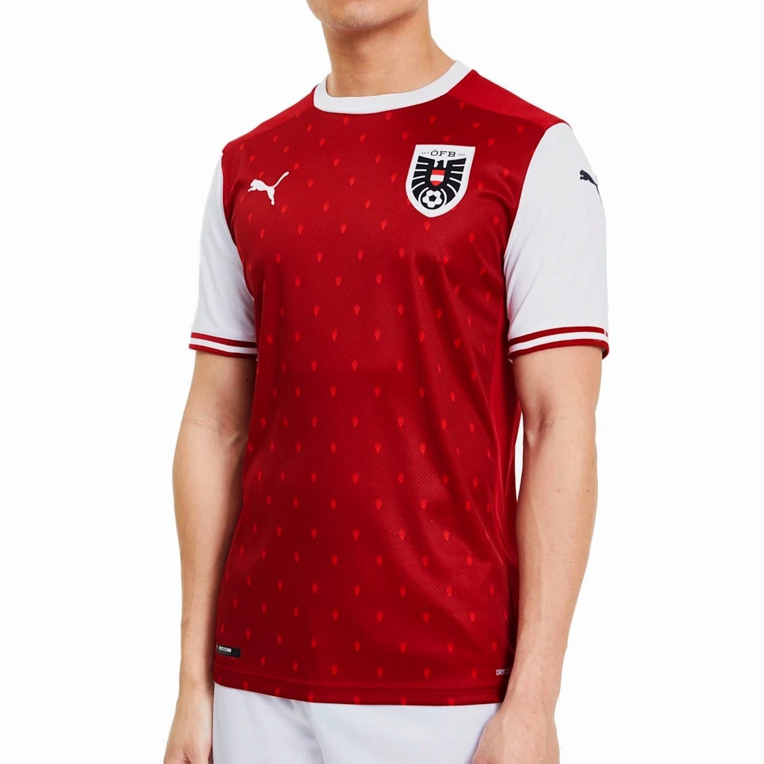 Flexible Wear Austria national team Home soccer jersey 2020/21 - Puma