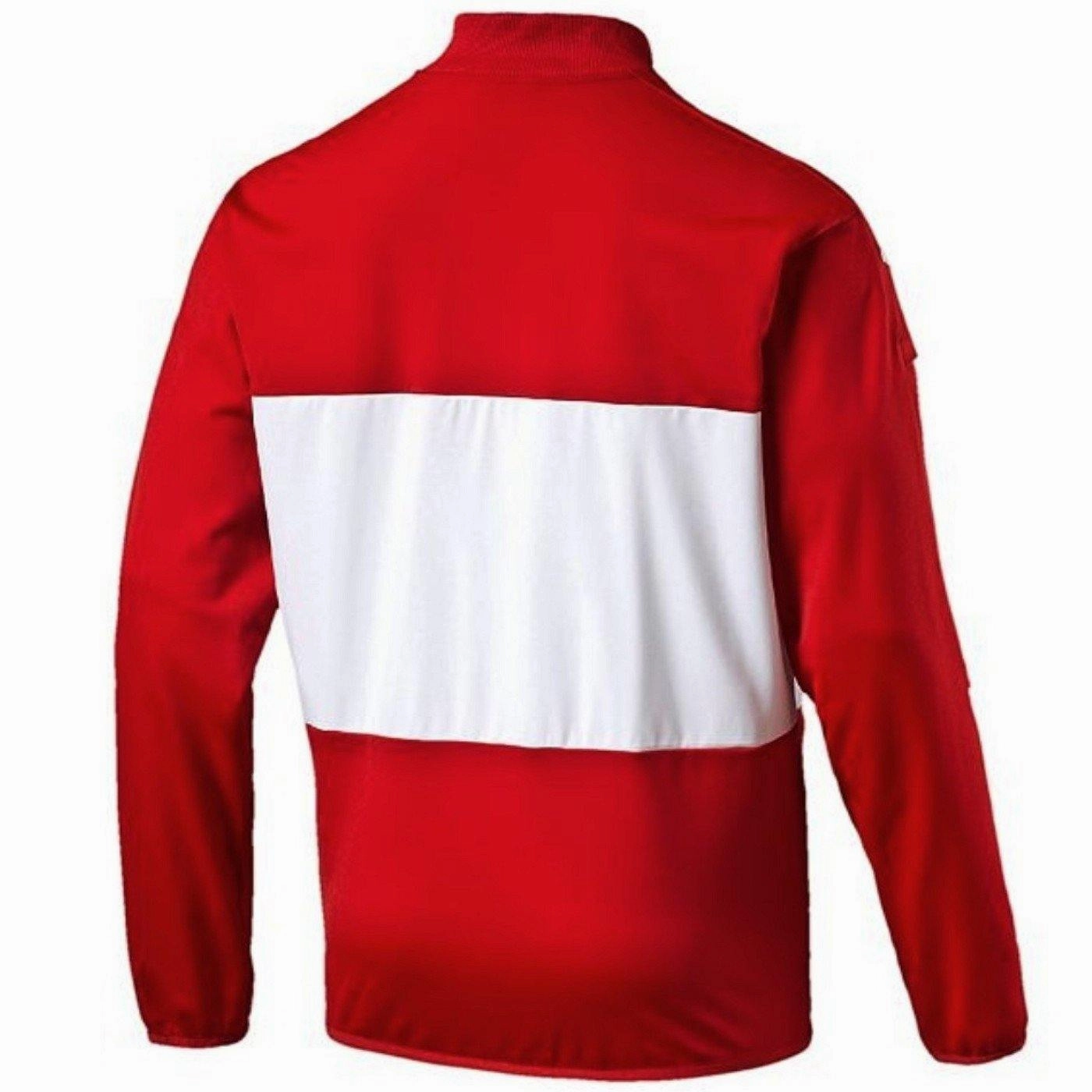 Austria national team presentation Soccer jacket 2016/17 - Puma Warm weather clothing Ergonomic Design