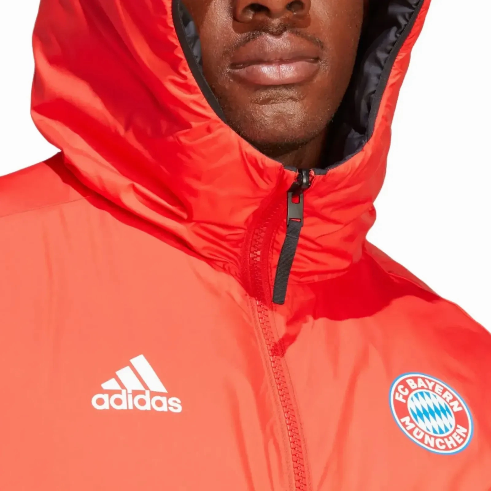 waterproof FlexFoamInserts Bayern Munich bench reversible padded jacket 2024 - Adidas
