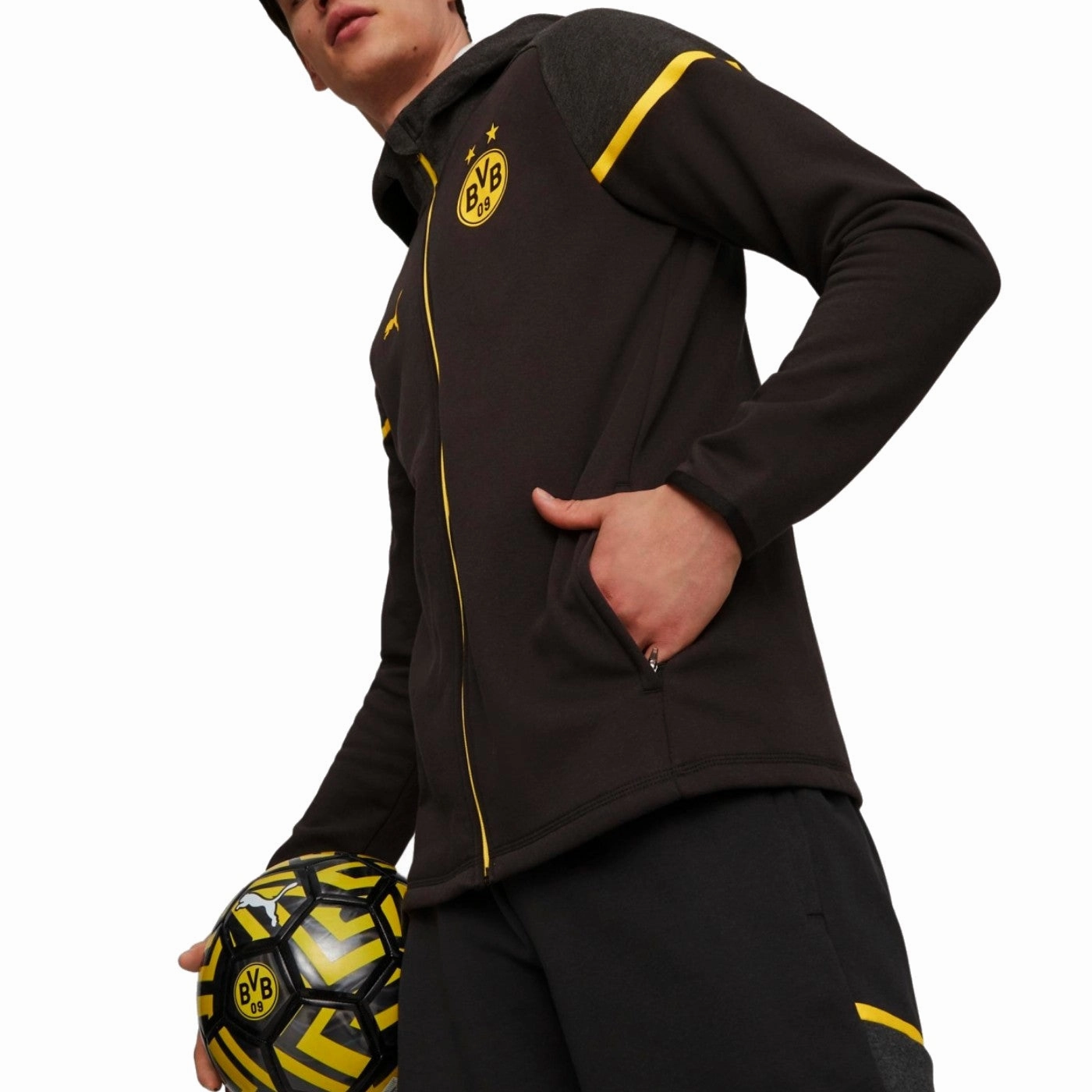 Borussia Dortmund Casual hooded presentation tracksuit 2023/24 - Puma Modal