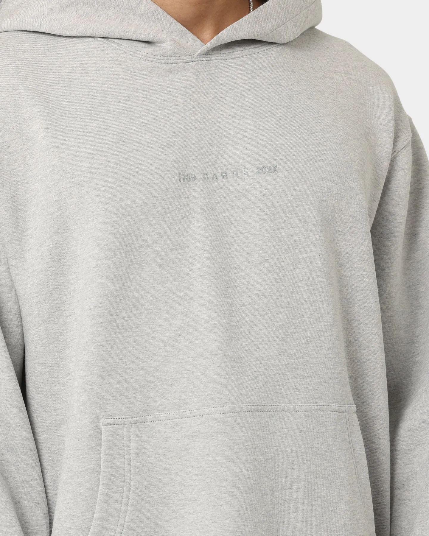 Tweezers Carr?? 202X Premium Motion Hoodie Grey Marle