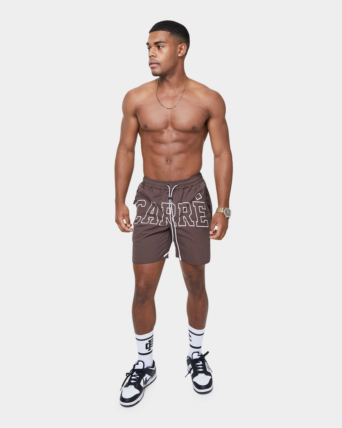 Carr?? Arc La Plage Short Dark Brown Nylon Material