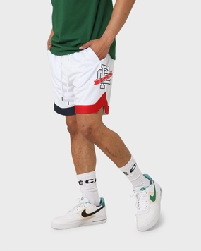 Carr?? Team Paris Basketball Shorts White water sports clothing