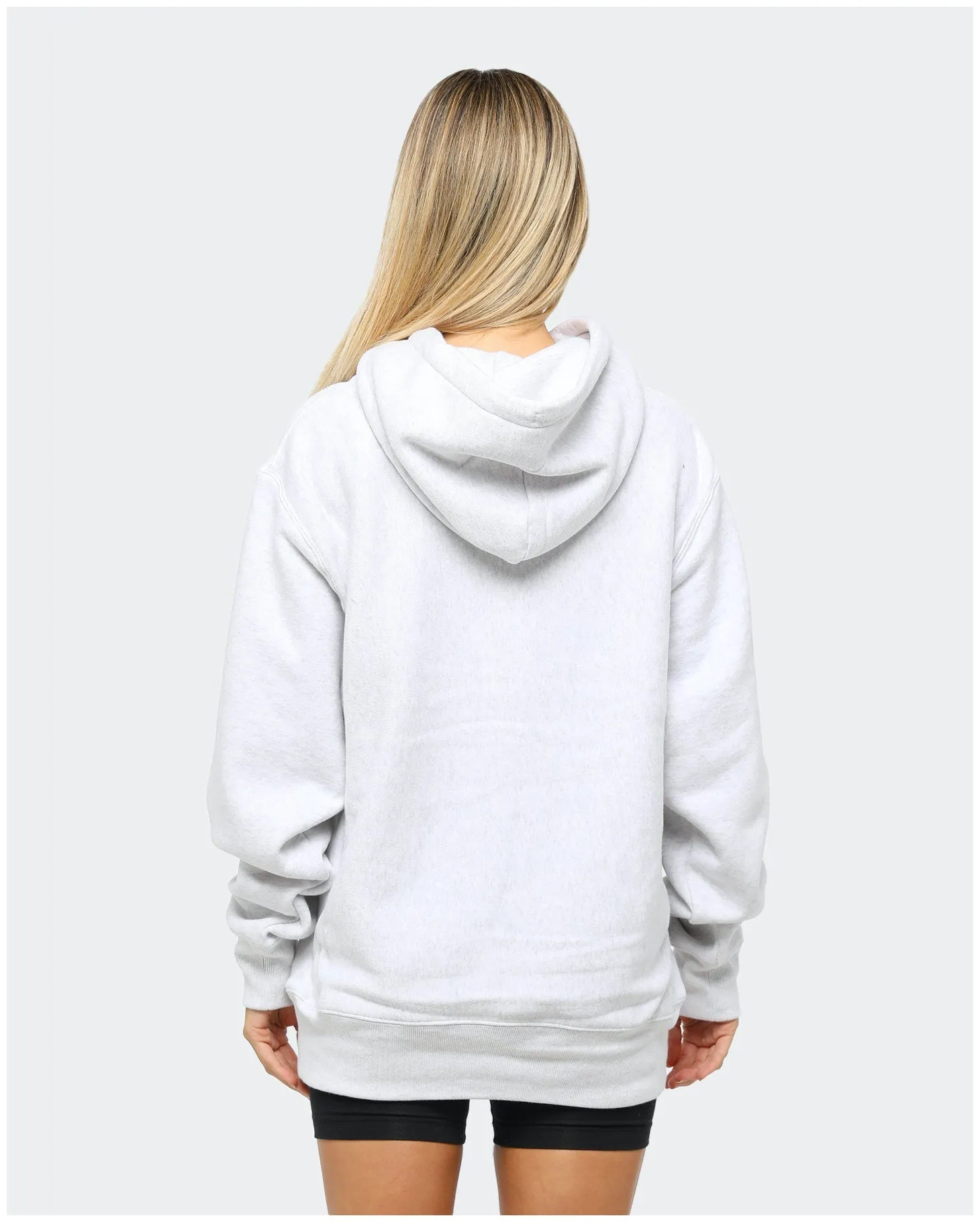 Recycled Polyester Winter Comfort Champion Rev Weave Hoodie Silver