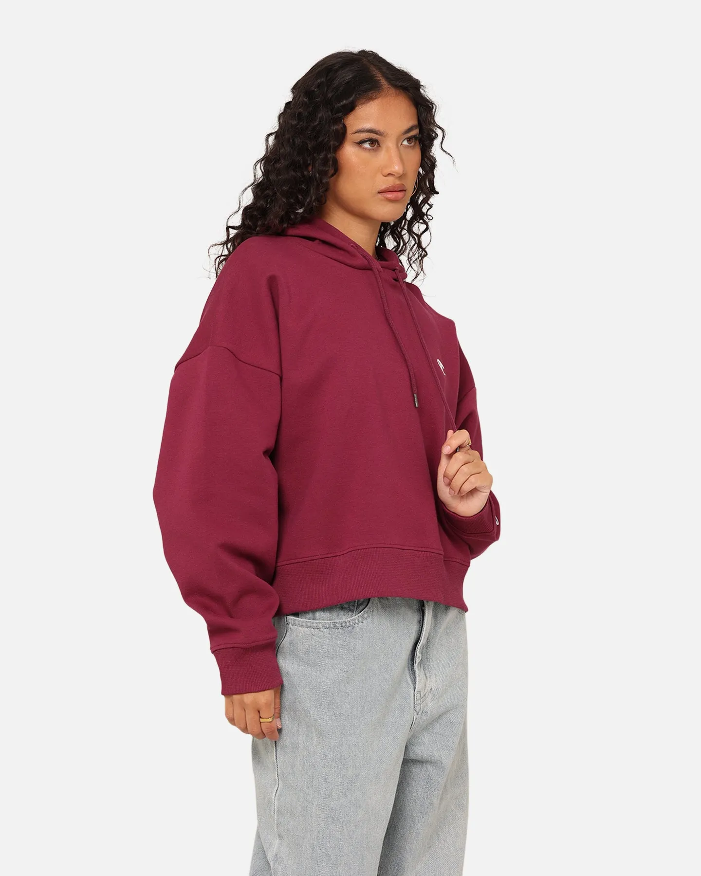 Champion Women's Rochester Base Hoodie Plum Fairy suitable for charity events Formal Event
