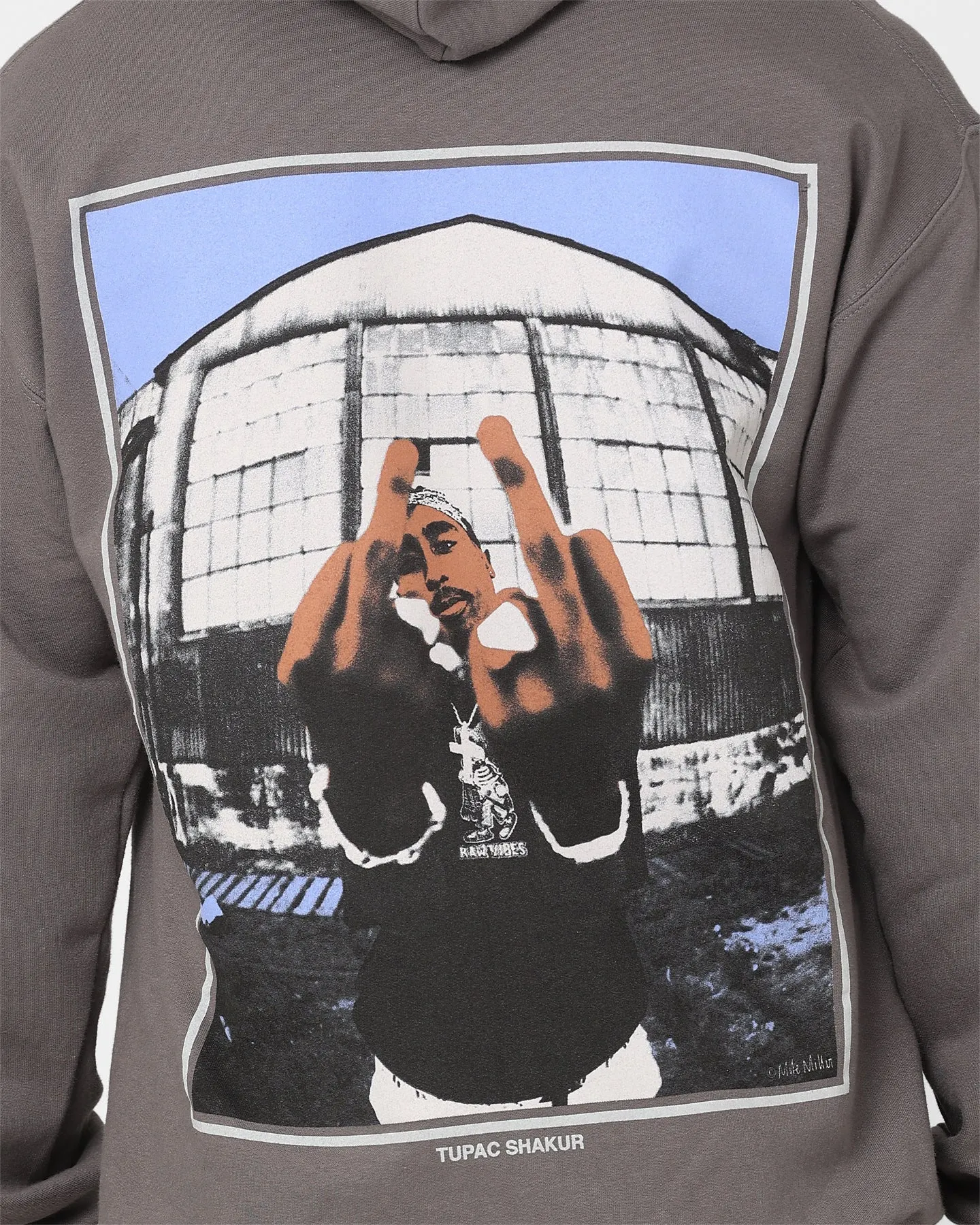 Tupac Thug Life Hoodie Grey Calendar Zip-up