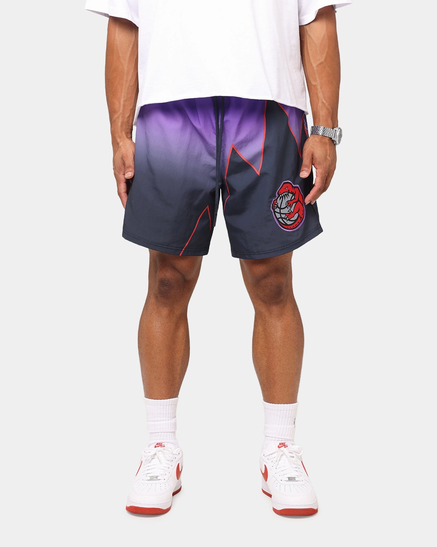 Exclusive item Mitchell & Ness Toronto Raptors 30 Year Shorts Black/Purple