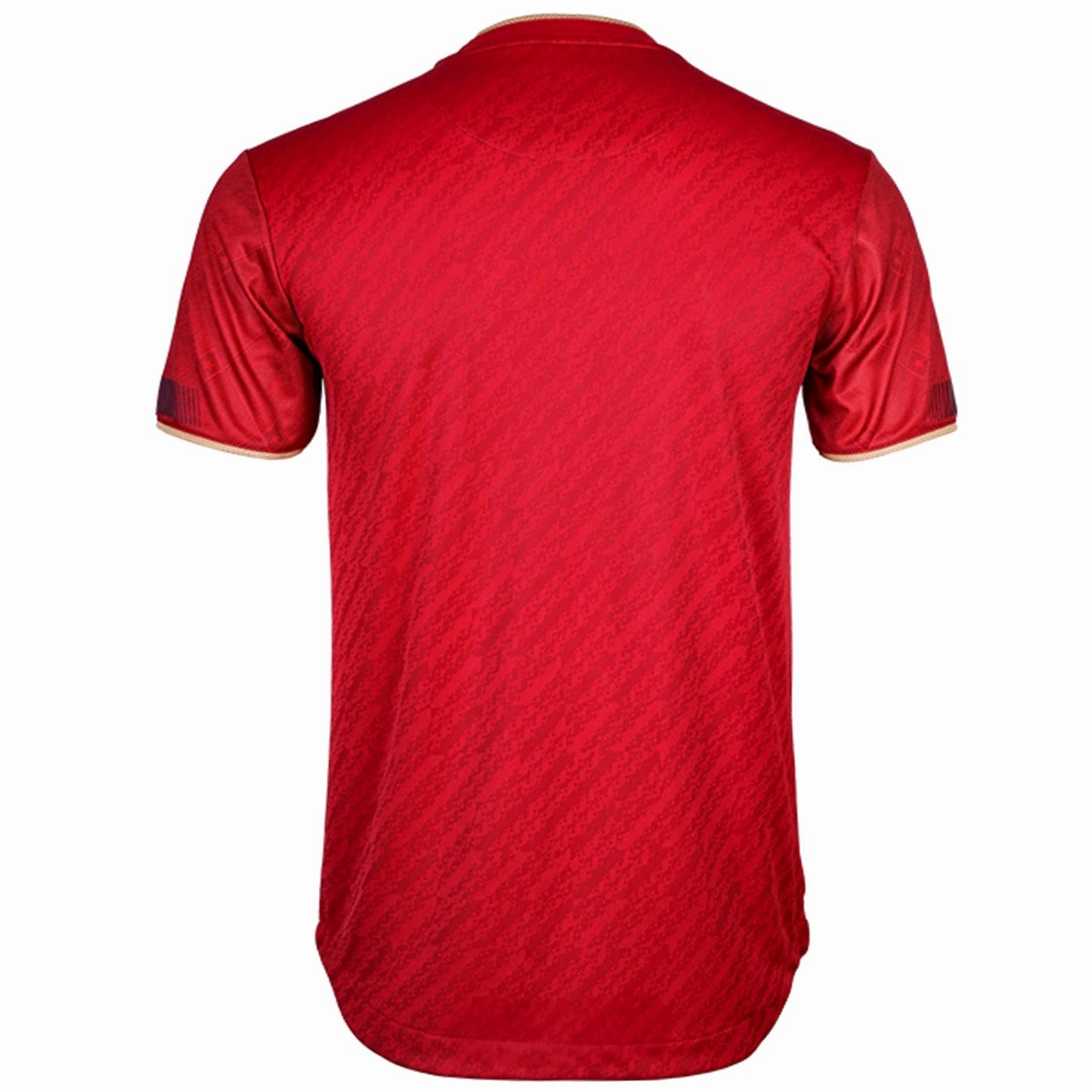 Workout clothing Recreational sports clothing Vietnam national team Home soccer jersey 2023/24 - Grand Sport