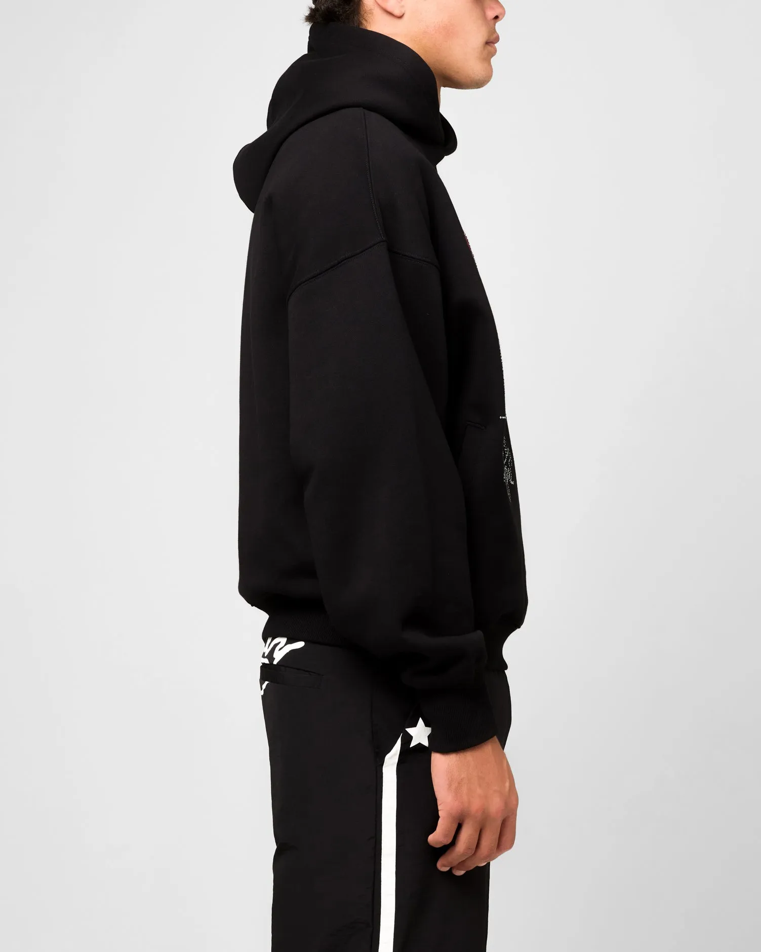 Storm Resistant Closure Ed Hardy Rhinestone Dragon Hoodie Black