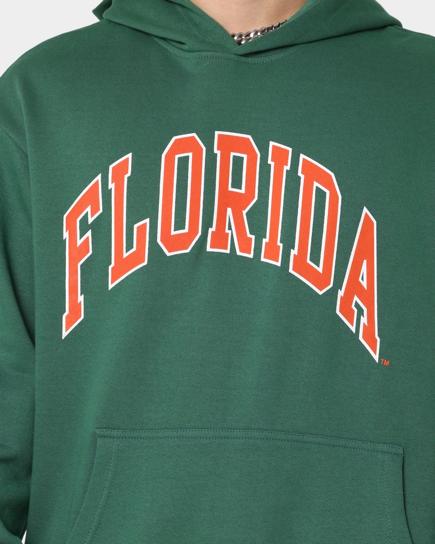 National Collegiate Athletic Association Florida Gators Puff Print Hoodie Kelly Green Outdoor Function colorful