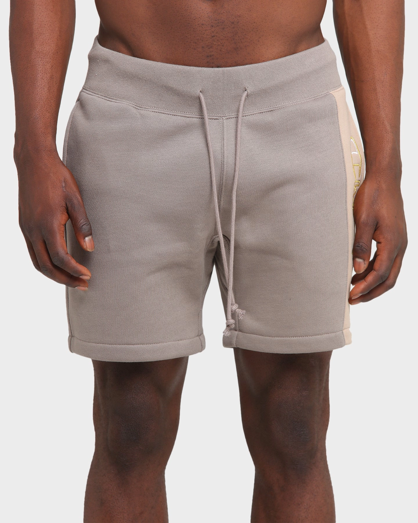 Hidden Storage Compartment Champion Rev Weave Panel Stripe Shorts Gizmo