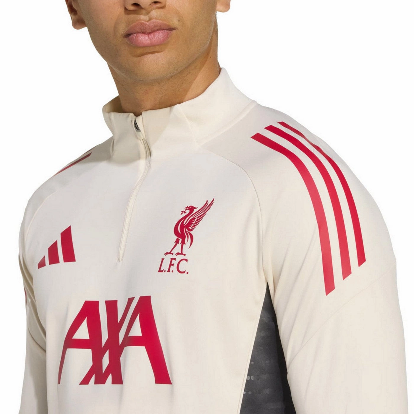 Liverpool FC training technical Soccer tracksuit 2025/26 - Adidas regional