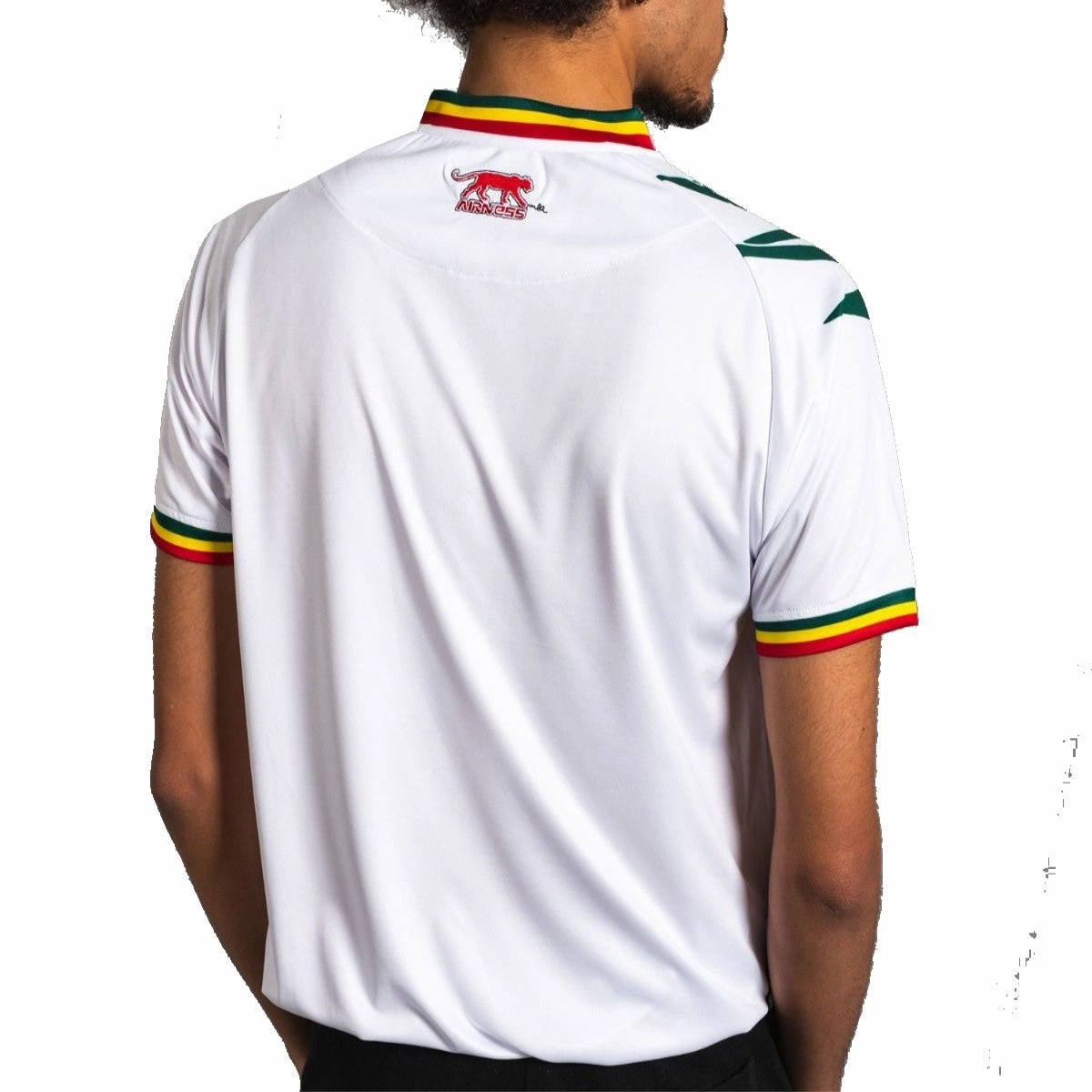 functionality venue Mali national team Home soccer jersey 2024 - Airness