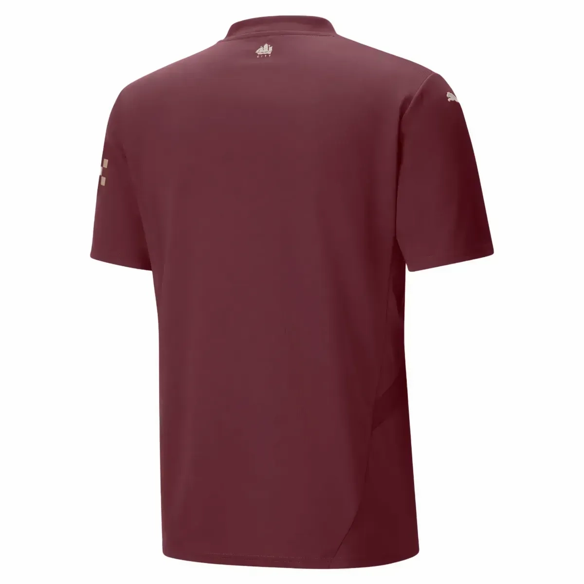 Manchester City Third soccer jersey 2024/25 - Puma glove venue