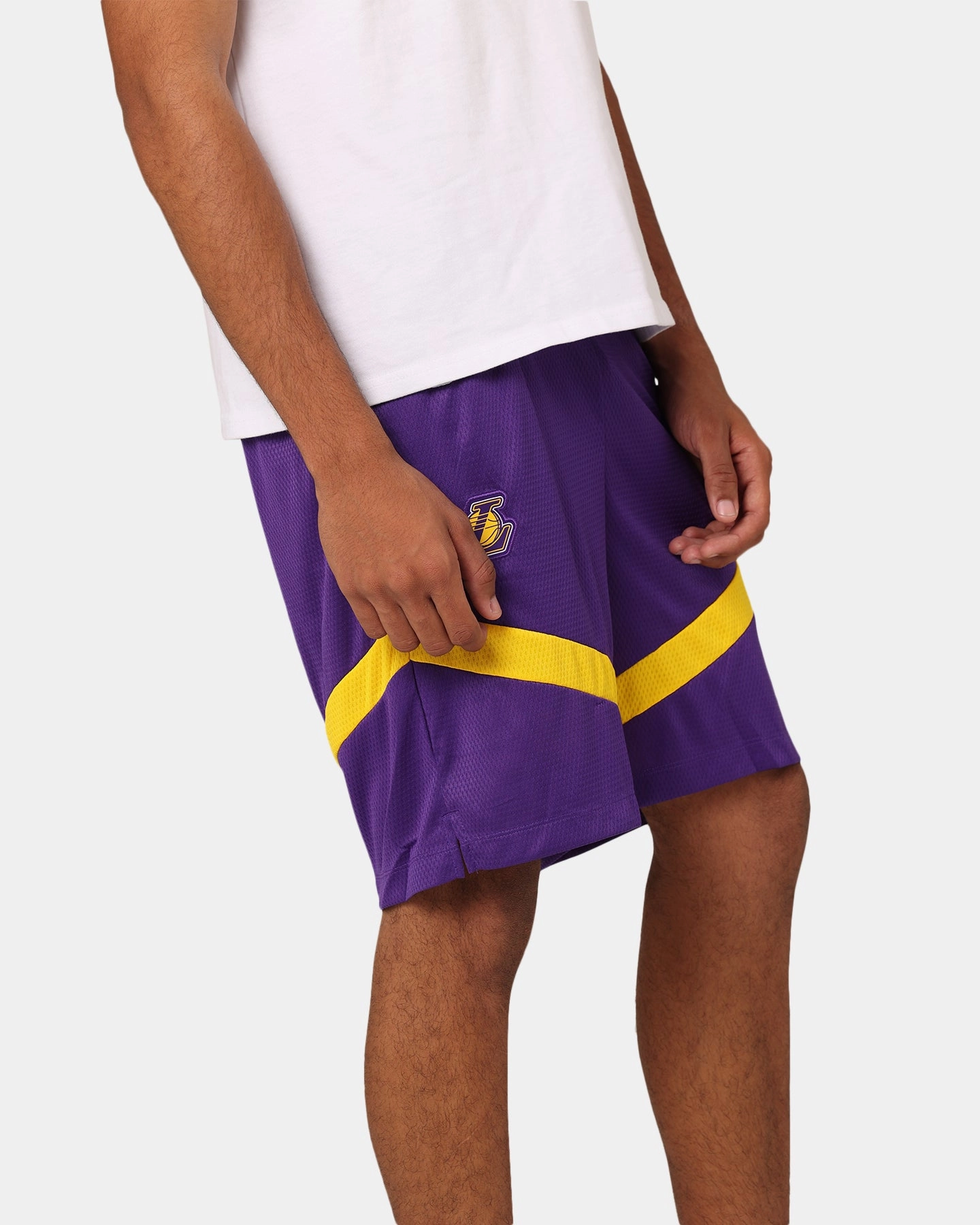 Nike Los Angeles Lakers Dri-FIT Practice Icon  Shorts Field Purple belt activewear option