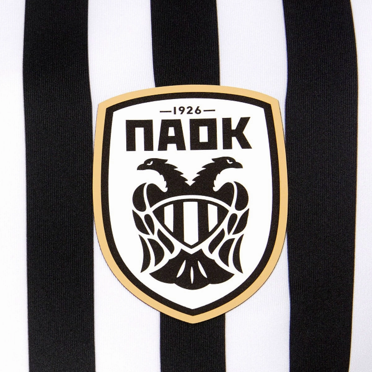 multicultural PAOK Thessaloniki Home soccer jersey 2020/21 - Macron
