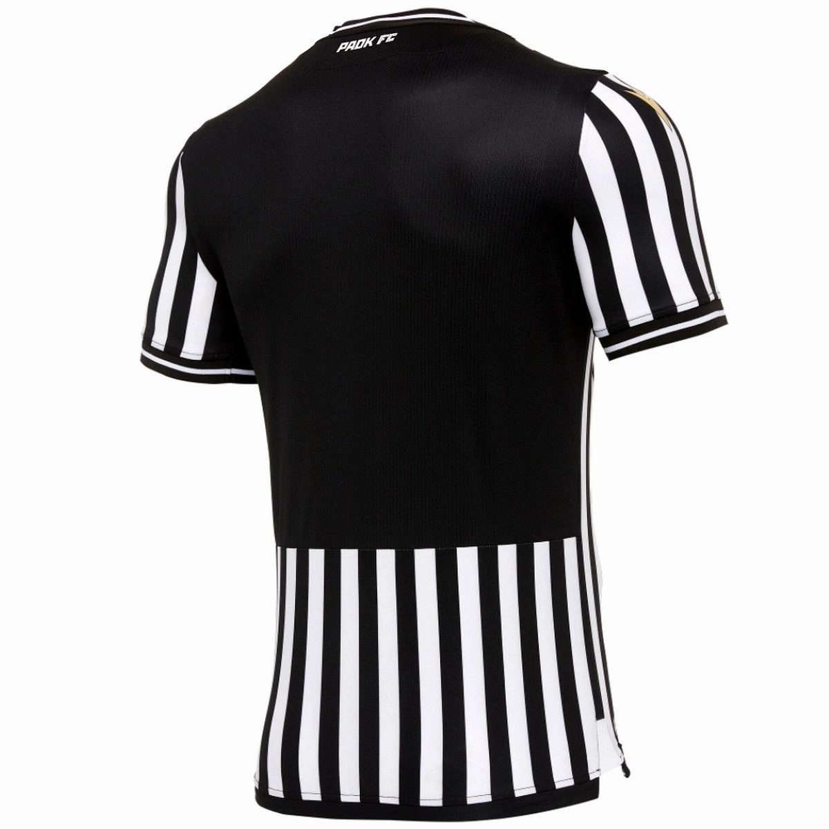 Flexible Contoured Panels PAOK Thessaloniki Home soccer jersey 2020/21 - Macron