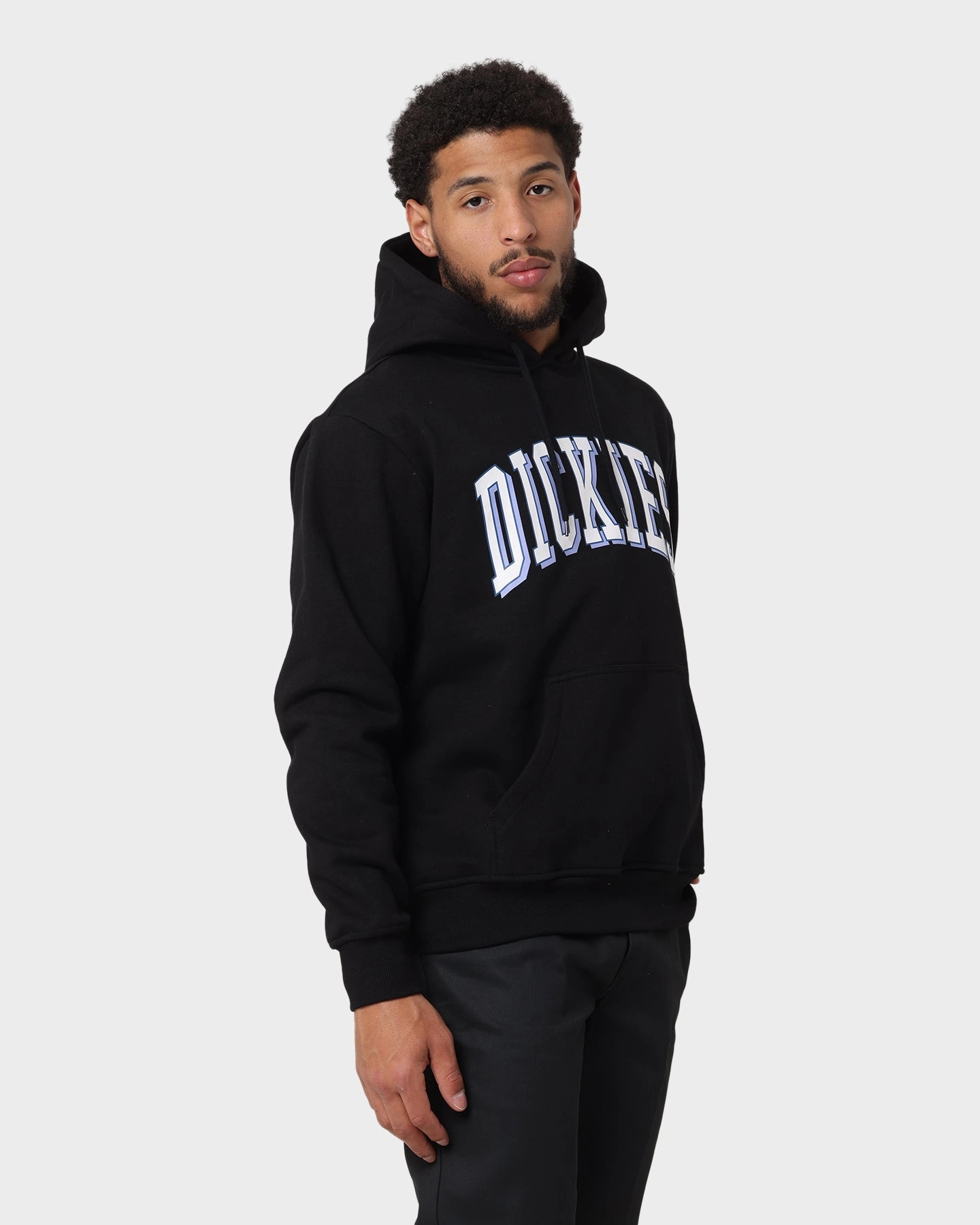 Antiperspirant Dickies Longview Hoodie Black