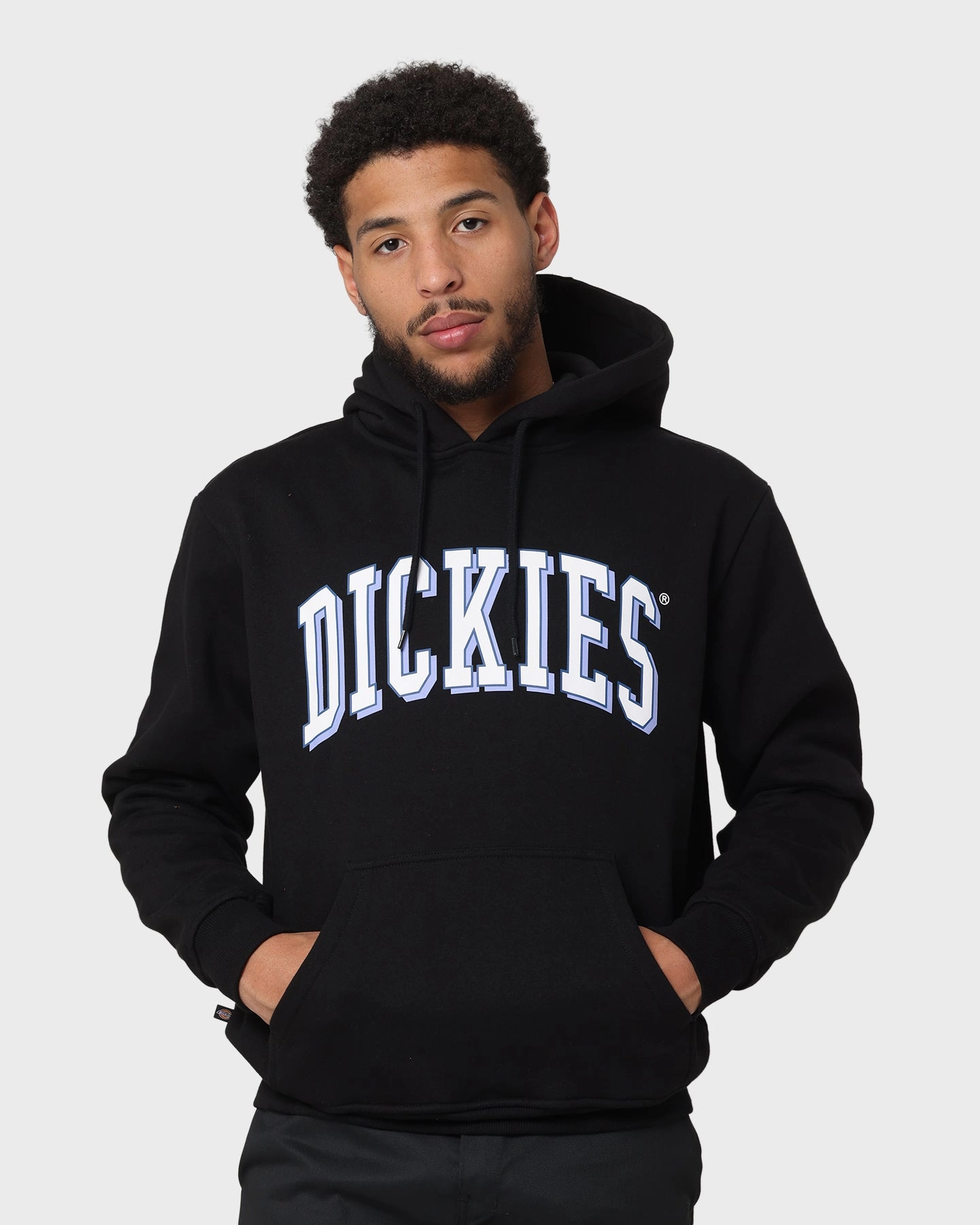 Dickies Longview Hoodie Black Functional Fit Packable Layer