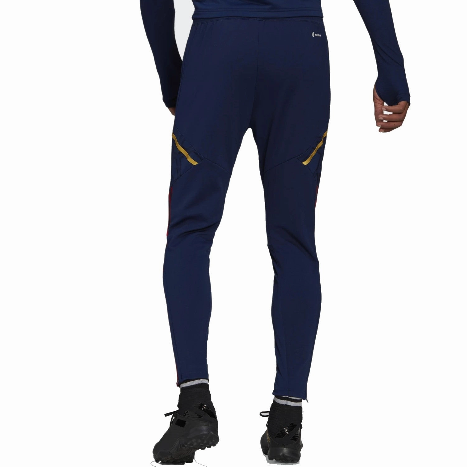 crystal Ajax Amsterdam training presentation Soccer tracksuit 2022/23 - Adidas