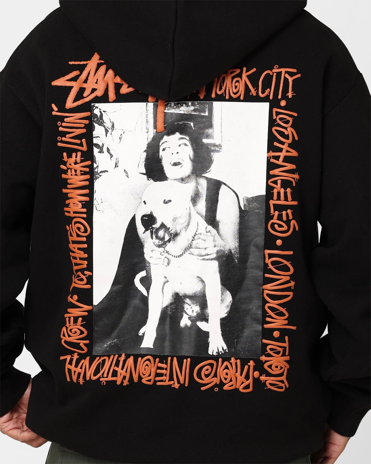 Package Stussy How We're Living 1/4 Zip Fleece Hoodie Solid Black