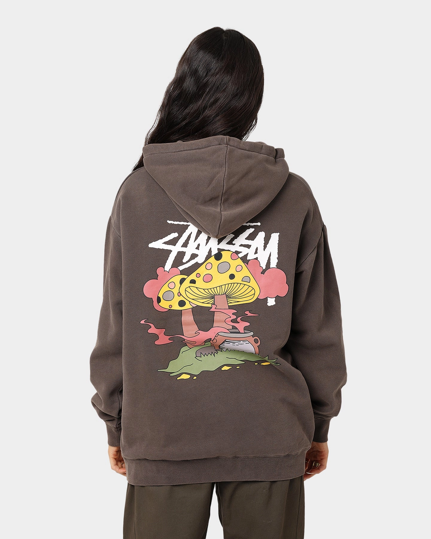 Stussy Something's Cooking Hoodie Brown Pigment Microfiber Blend
