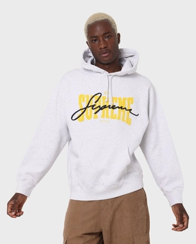 Supreme Embroidered Chenille Hoodie Grey Storage