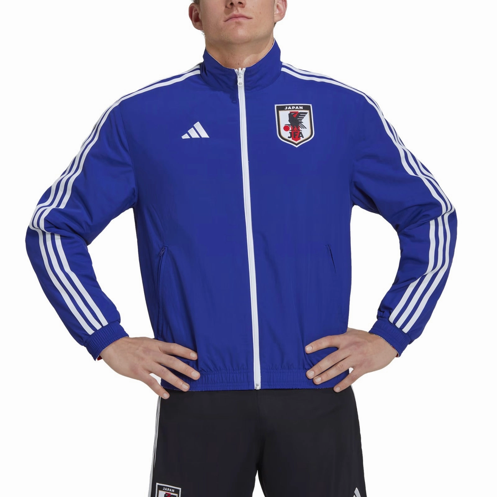 international Japan pre-match presentation reversible Soccer jacket 2022/23 - Adidas
