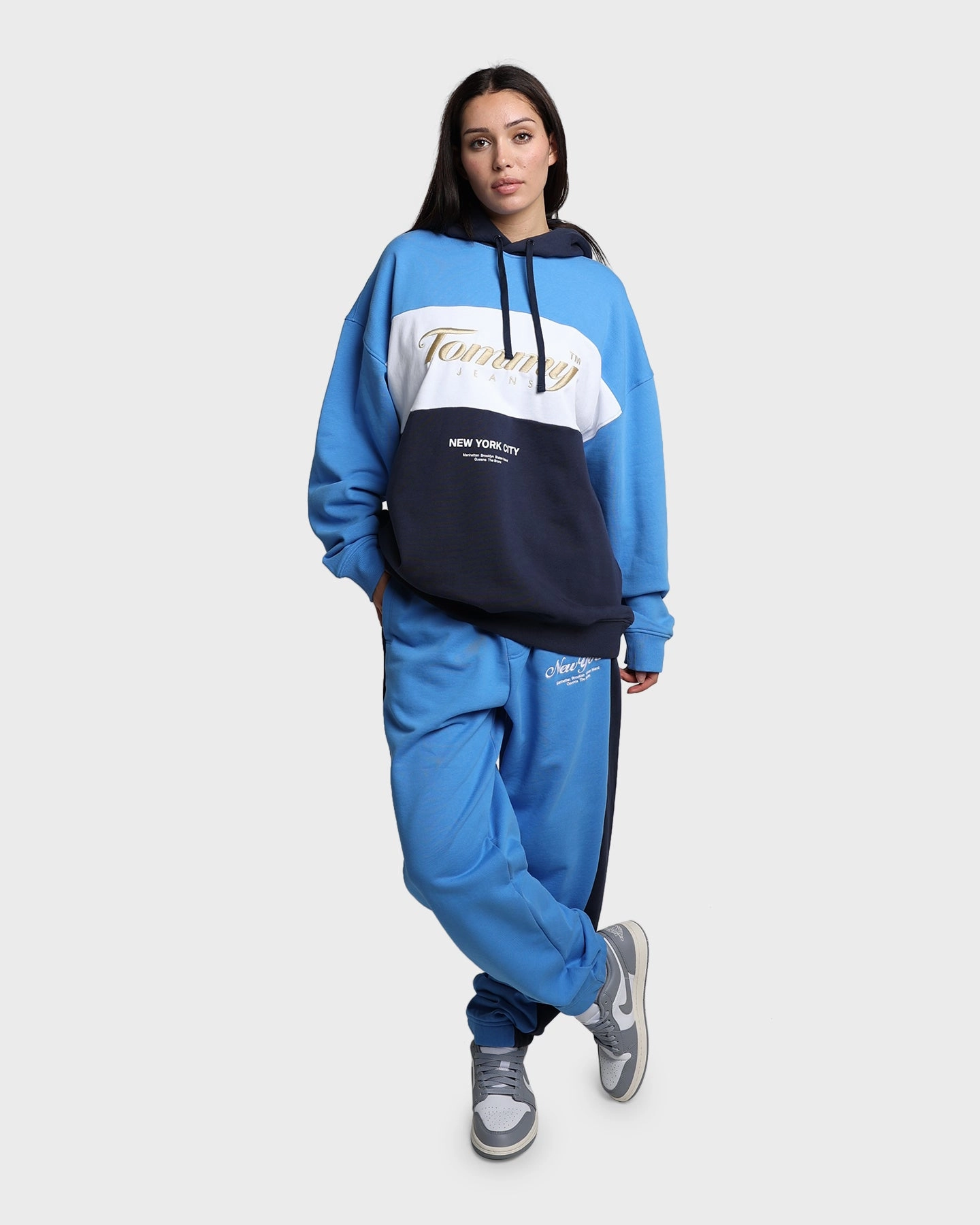 Tommy Jeans TJM Archive Hoodie Twilight Navy type Zippered Closure