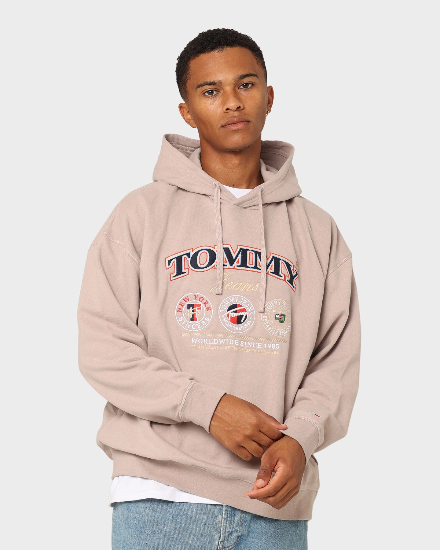 Tommy Jeans TJM Skater TJ Luxe Hoodie Brandons Stone Asset