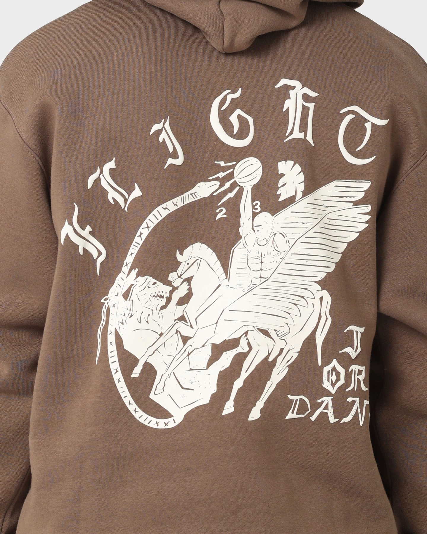 Jordan Flight Artist Series Fleece Pullover Hoodie Palomino/Sail Dream Glasses