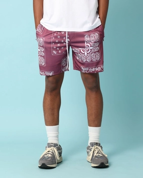 Carr?? Fragment Mesh Shorts Port Bold Statement Basic Look